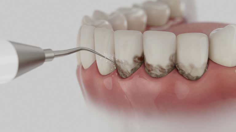 Reliable Dental contractor in Preston Heights, IL by Dentist Open Now